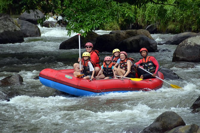 Bali Rafting and Private Combination Ubud Tour Packages - A private car makes the combination easier