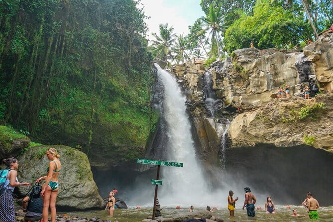 Bali Rafting : Bali Family Rafting in Ubud and Ubud Private Tour - Sacred Monkey Forest, 12.5 hectares of greenery
