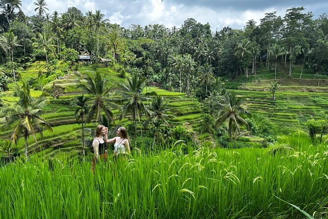 Bali Rafting : Bali Family Rafting in Ubud and Ubud Private Tour - Why the private format matters at $30