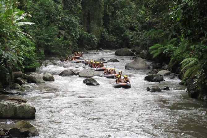 Bali Rafting Ubud with Lunch - What $24.95 really covers