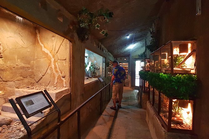 Bali Reptile Park Entrance Ticket - The setting and photo opportunities