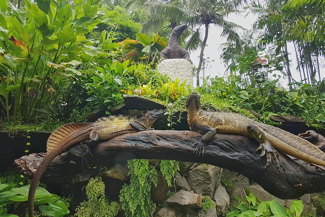 Bali Reptile Park Entrance Ticket - Animal care is an important consideration