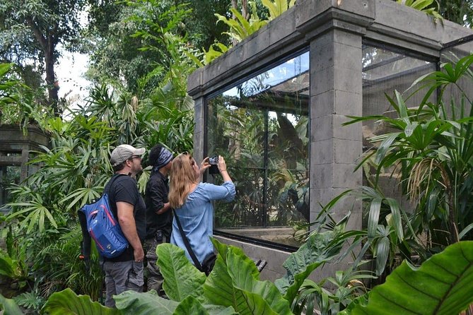Bali Reptile Park Entrance Ticket - Price and the value of a short stop