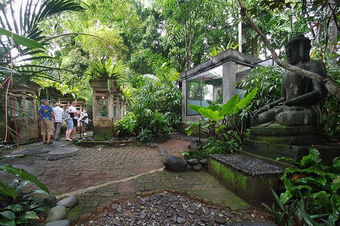 Bali Reptile Park Entrance Ticket - Holding snakes and meeting the iguanas