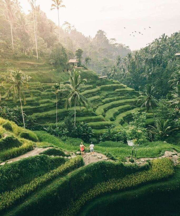 Bali: Rice terrace, Waterfall, and water Temple Day Tour - Why this route works for a first day around Ubud