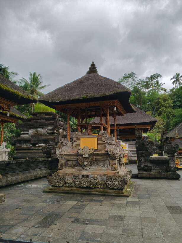 Bali: Rice terrace, Waterfall, and water Temple Day Tour - A Balinese coffee plantation between major stops