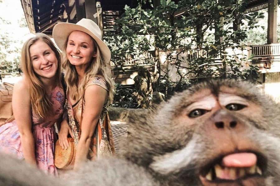BALI :Sanctuary Monkey forest, rice terrace Water temple - One Day, Five Different Sides of Ubud