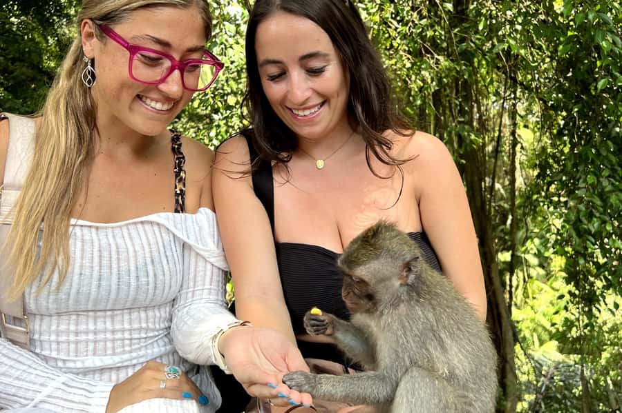 BALI :Sanctuary Monkey forest, rice terrace Water temple - Tegalalang Rice Terrace: Bali’s Classic Farm View
