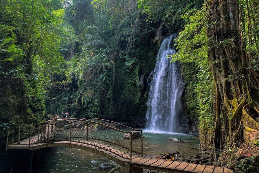 BALI :Sanctuary Monkey forest, rice terrace Water temple - Sacred Monkey Forest: Start With Ubud’s Famous Residents