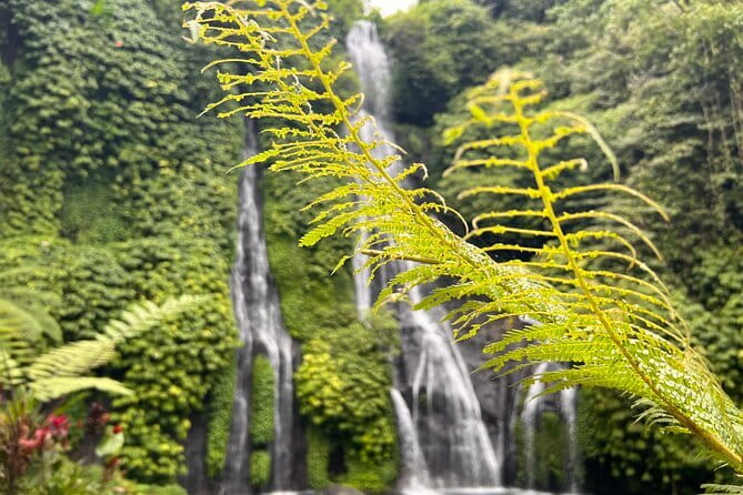 Bali Secret Waterfalls: Banyumala & Leke Leke Waterfalls - Banyumala Twin Waterfalls: a pretty path before the main view