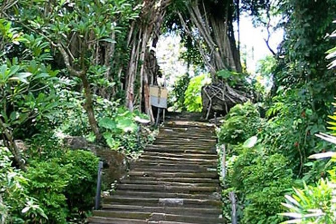 Bali Shaman,Palm Reading,& Spiritual - What this Ubud spiritual tour is really about