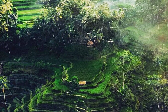 Bali Sightseeing - Tegalalang Rice Terrace and the Subak system