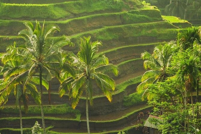 Bali Sightseeing - The real cost of the $78 group price
