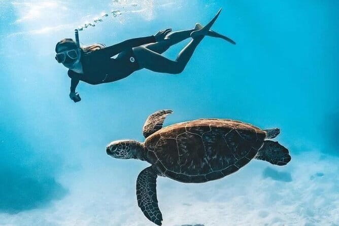 Bali Snorkeling at Blue Lagoon and Tanjung Jepun with Transfer - 9:00 AM at the Padangbai basecamp