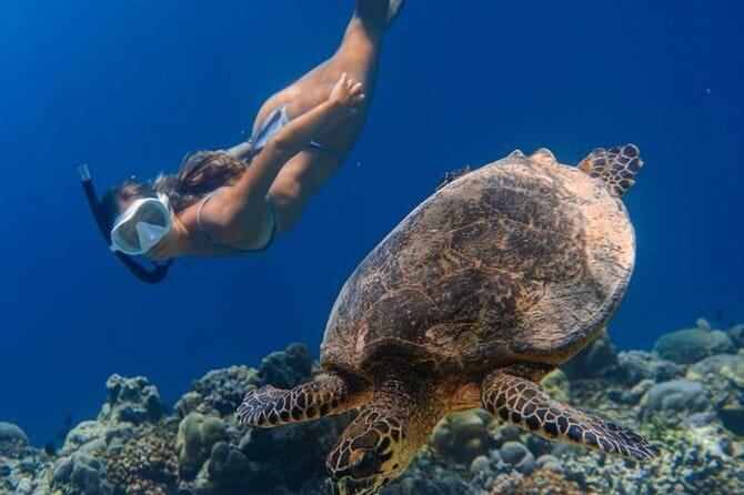 Bali Snorkeling at Blue Lagoon and Tanjung Jepun with Transfer - Blue Lagoon and the white-sand shoreline