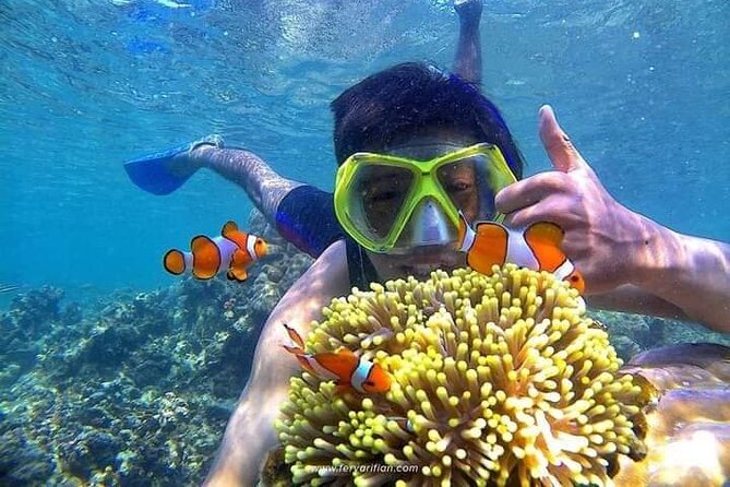Bali : Snorkeling Trip - Blue Lagoon & Tanjung Jepun with Lunch - Key points at a glance