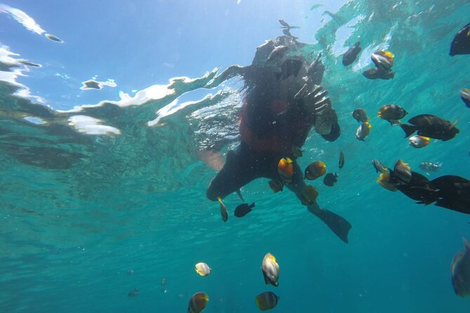 Bali : Snorkeling Trip - Blue Lagoon & Tanjung Jepun with Lunch - Setting out from Ubud toward East Bali