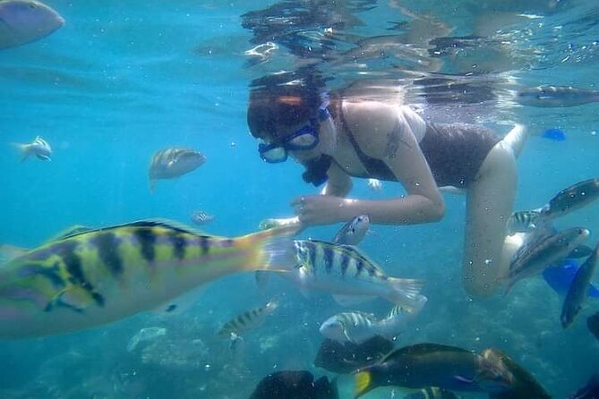Bali : Snorkeling Trip - Blue Lagoon & Tanjung Jepun with Lunch - Guide service is a major part of the value