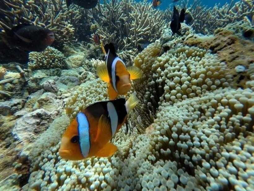 Bali: Snorkling Blue Lagoon Beach include Lunch & Transport - Getting there from Bali’s resort areas