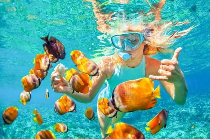 Bali: Snorkling Blue Lagoon Beach include Lunch & Transport - A good fit for first-time snorkelers and families