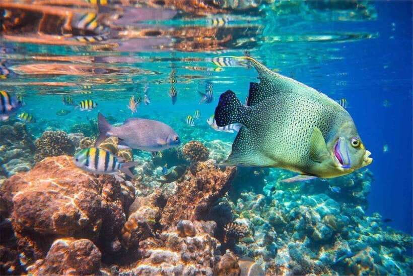 Bali: Snorkling Blue Lagoon Beach include Lunch & Transport - What to bring and what to leave behind