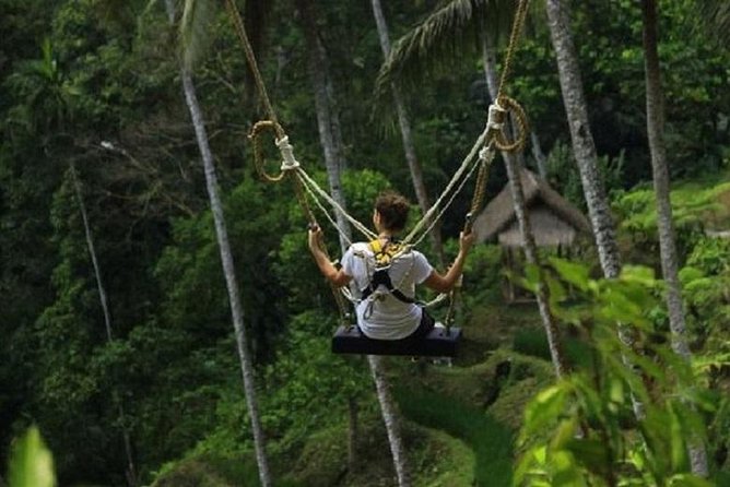 Bali Swing Heaven and White Water Rafting with All Inclusive - What the $46 price really includes
