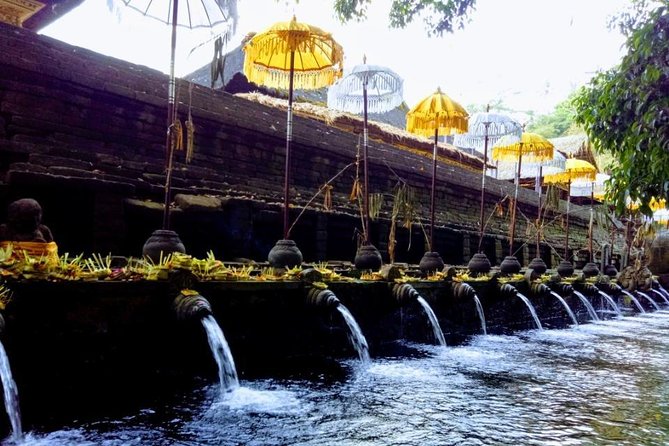 Bali Swing Ubud Private Day Tour - Coffee plantation and Luwak tasting