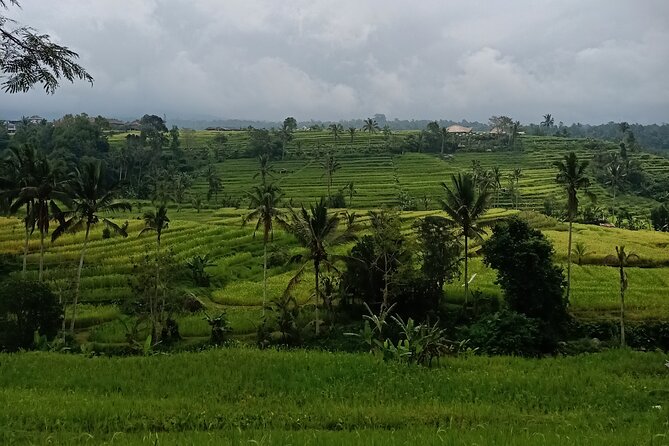 Bali Tanah Lot, Ulun Danu Beratan & Jatiluwih Rice Terrace - Tanah Lot and the high-tide effect
