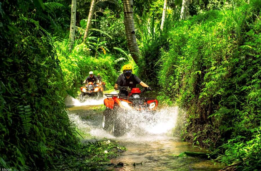Bali: Thrilling Ultimate ATV Quad Bike Adventure - How the package options affect value