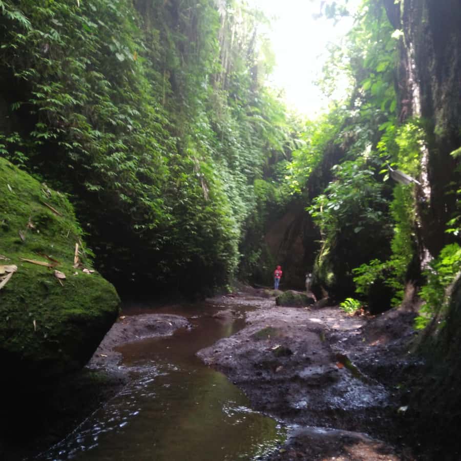Bali: Tibumana, Tukad Cepung, Kanto Lampo, & Tegenungan Tour - Key points to know before you book