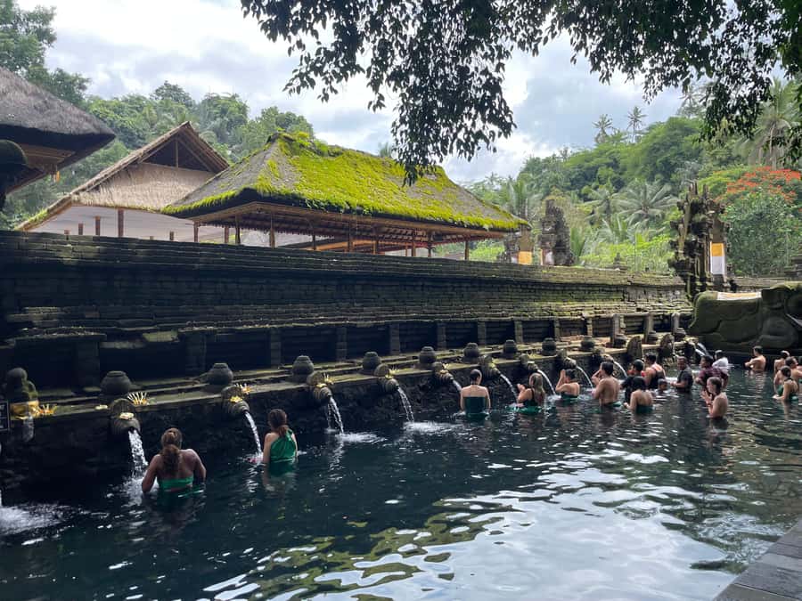 Bali: Tirta empul Temple, Rice terrace and Waterfall - Key points to know before booking