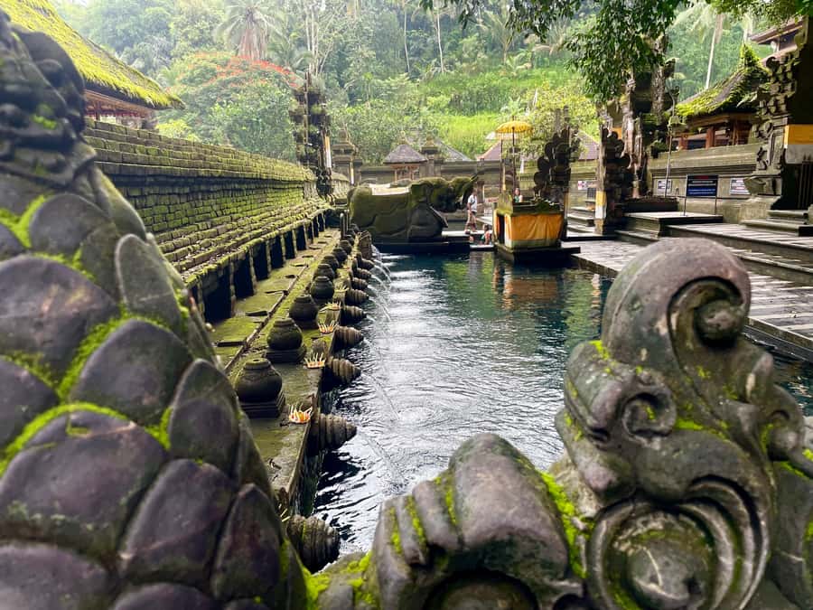 Bali: Tirta empul Temple, Rice terrace and Waterfall - A full day built around Ubud’s most photogenic stops
