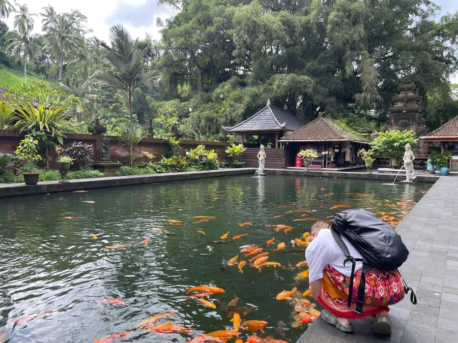 Bali: Tirta empul Temple, Rice terrace and Waterfall - Bali swing photos need a quick confirmation