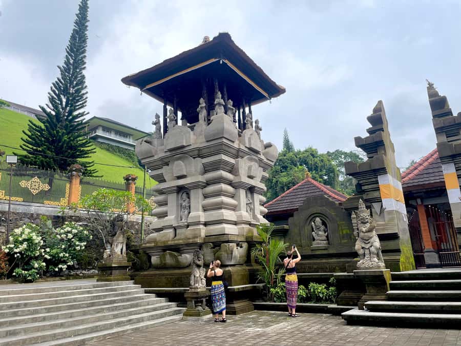 Bali: Tirta empul Temple, Rice terrace and Waterfall - Tegalalang Rice Terrace: famous views with a photo-first feel