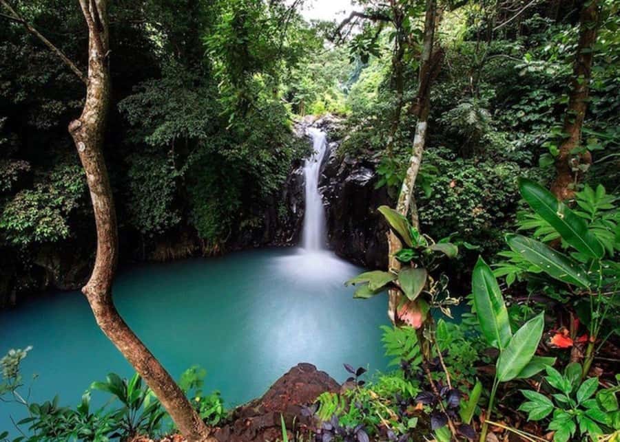 Bali: Top Highlights Private Full-Day Tour from Hotel - U Fun Field, swings, photos and zipline time