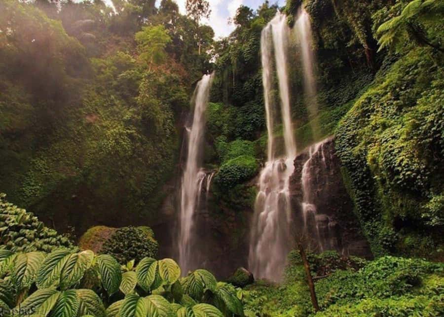 Bali: Top Highlights Private Full-Day Tour from Hotel - Coffee plantation and tasting