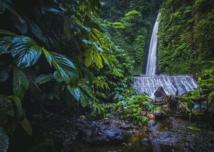 Bali: Top Highlights Private Full-Day Tour from Hotel - Tegenungan Waterfall, a one-hour finish outdoors
