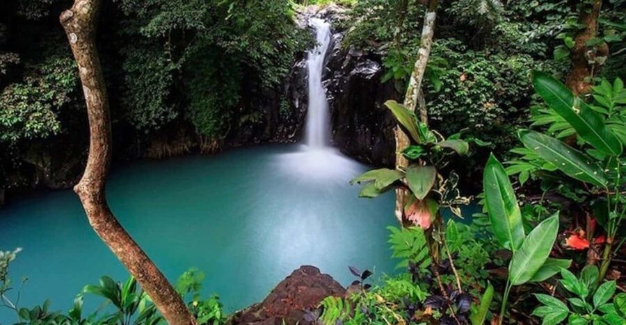 Bali: Top Highlights Private Full-Day Tour from Hotel - What about Batuan Temple?
