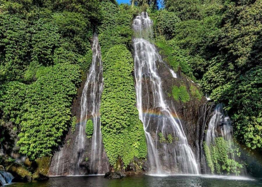 Bali: Top Highlights Private Full-Day Tour from Hotel - Pickup, the car and your driver