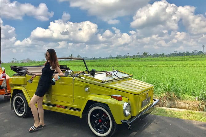 Bali Tour Driver - Mas Village and Balinese wood carving