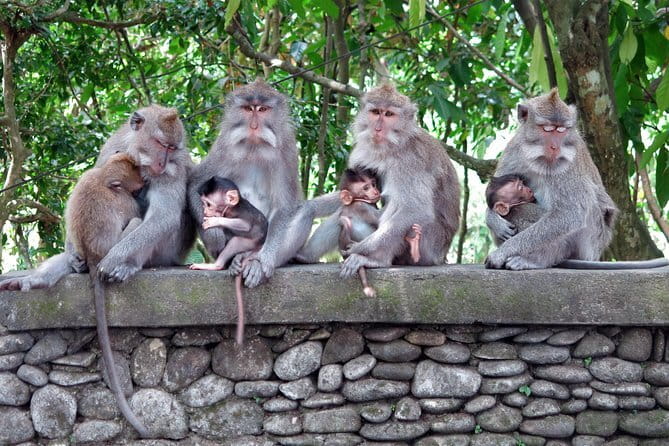 Bali Tour Driver - Celuk Village and the work of goldsmiths
