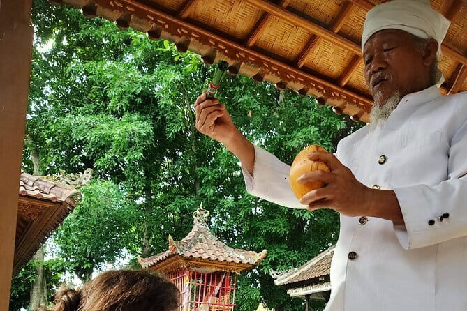 Bali Tour: Tanah Lot, UNESCO Rice Terrace and Water Temple - What a private driver-guide adds