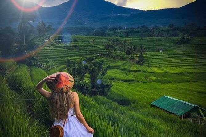 Bali Tour: Tanah Lot, UNESCO Rice Terrace and Water Temple - Who will get the most from this route?