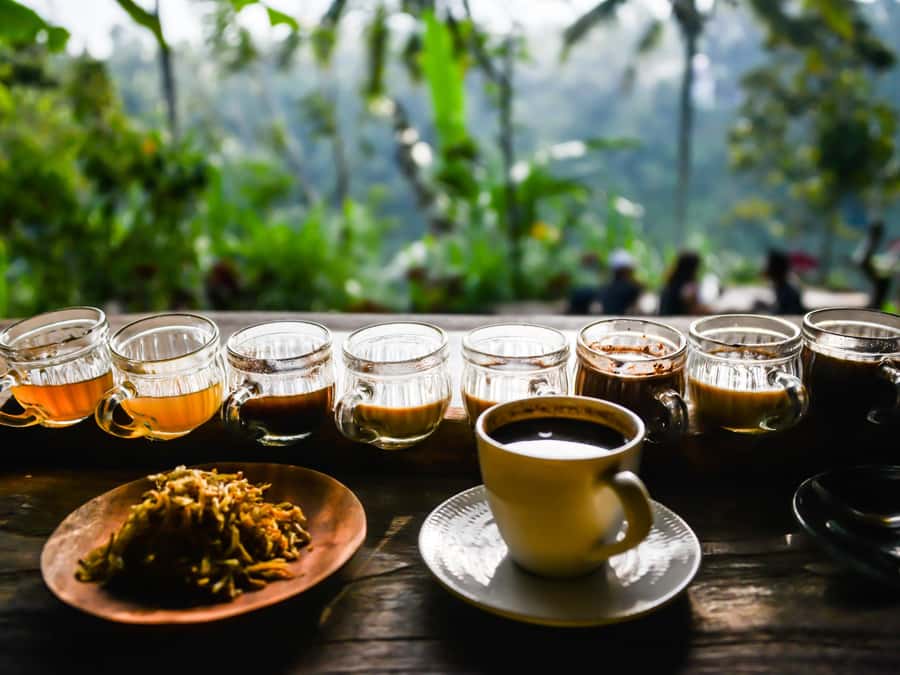 Bali: Ubud Adventure, ATV, Monkey Forest& Waterfall Tour - The drivers make the private format work