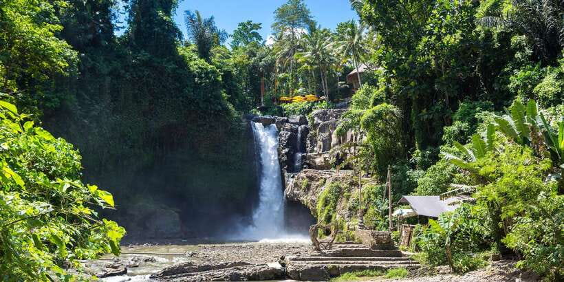Bali: Ubud and Kintamani Viewpoint Opt. Swing & Buffet Lunch - What the $31 price really covers