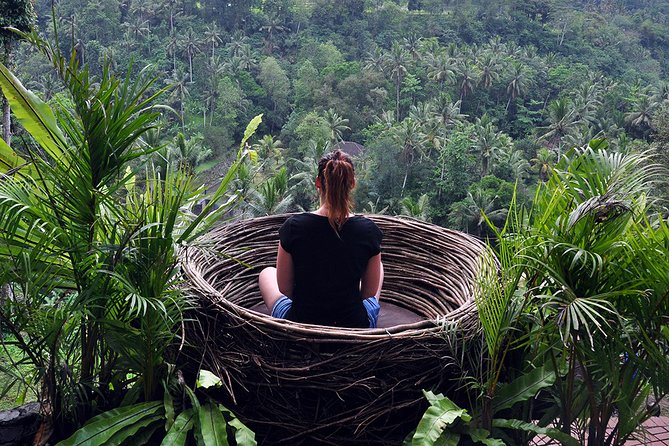 Bali Ubud and Volcano Day Tours - Sampling Coffee at Satria Agrowisata