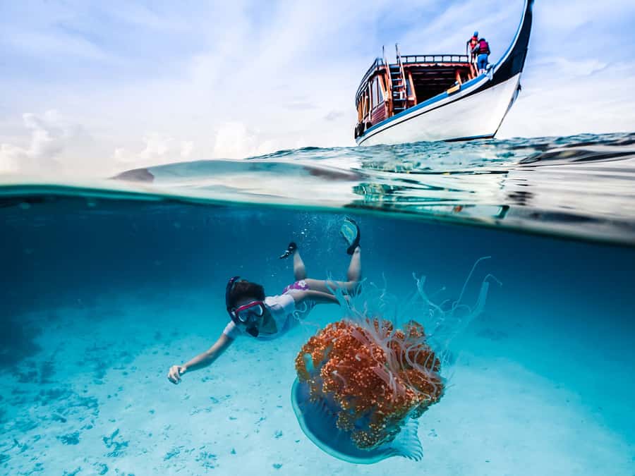 Bali: Ubud ATV and Blue Lagoon Snorkeling Tour with Lunch - Key points to know before you book