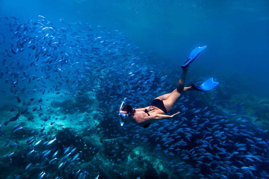 Bali: Ubud ATV and Blue Lagoon Snorkeling Tour with Lunch - Why this land-and-sea pairing works