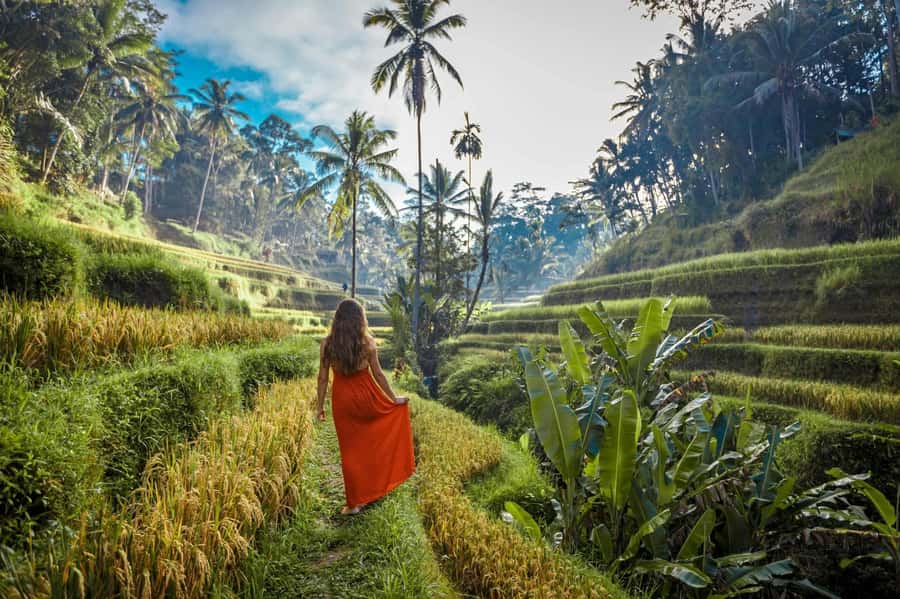 Bali: Ubud ATV Quad Bike, Jungle Swing & Rice Terrace Tour - Tegallalang Rice Terrace after the adrenaline