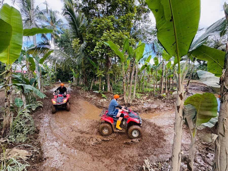 Bali: Ubud ATV Quad Bike, Jungle Swing & Rice Terrace Tour - What guides add to the day